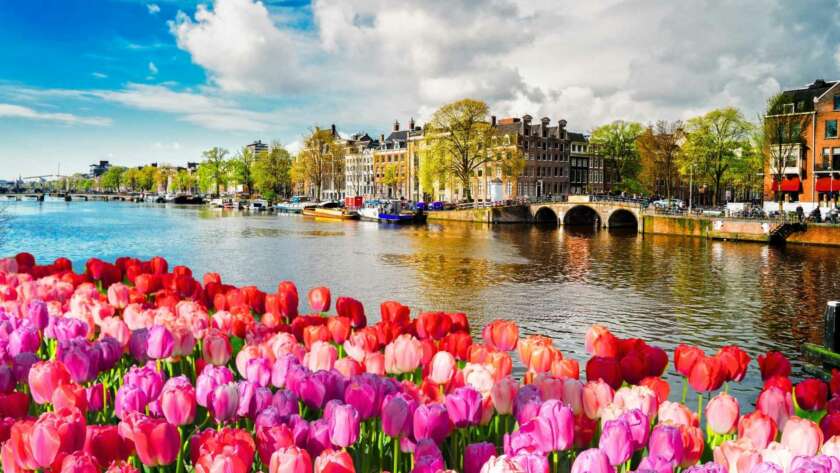AMSTERDAM 01