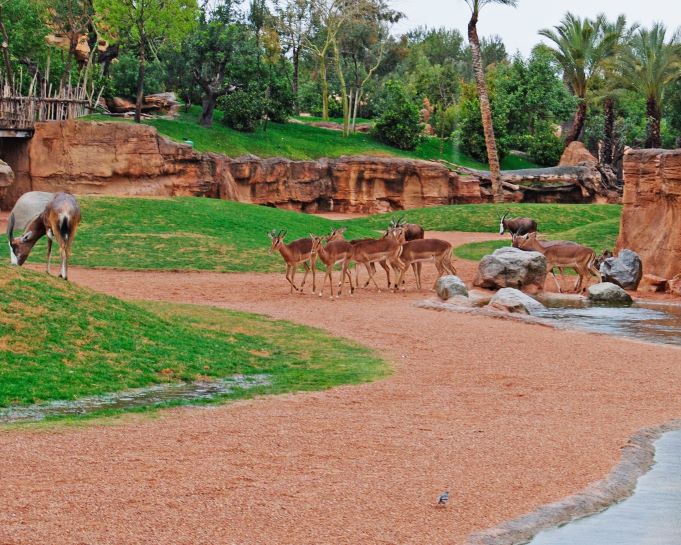 BIOPARC VALENCIA