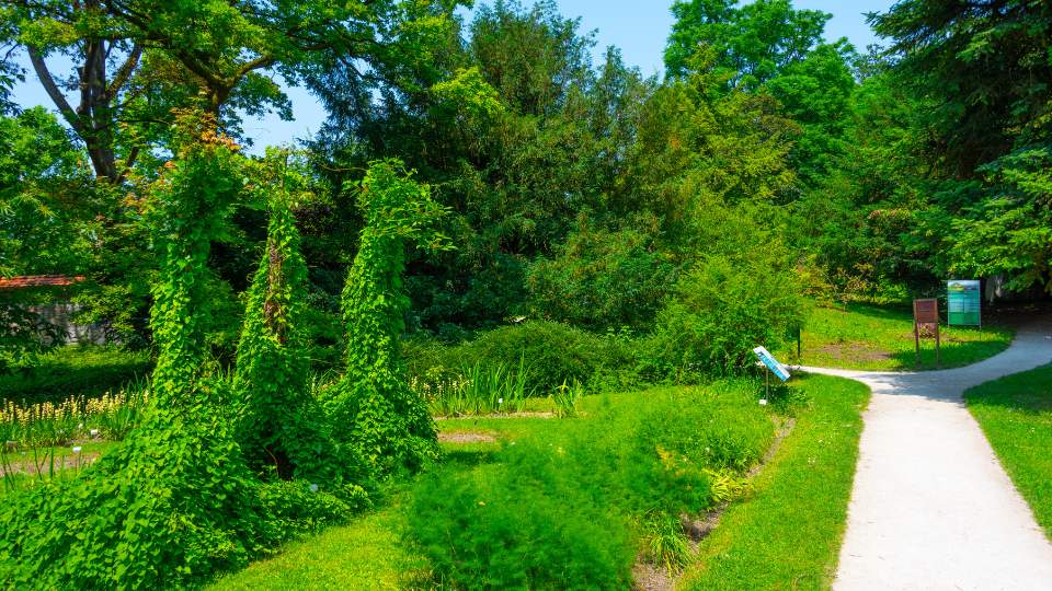 Qué ver en Liubliana: 7 lugares imprescindibles 11 BLOG Jardin Botanico