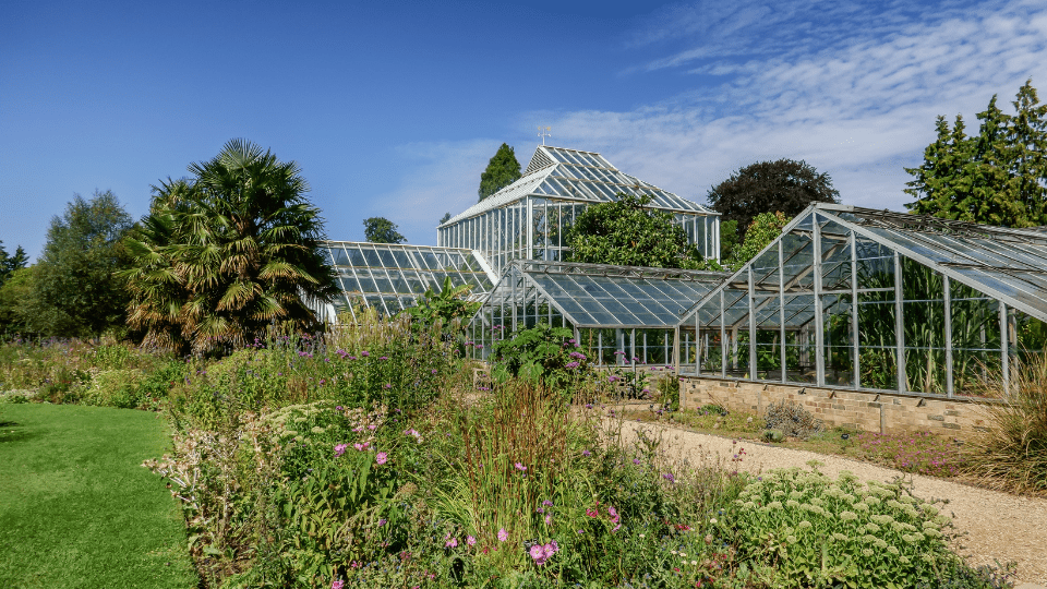 BLOG.Cambridge University Botanic Garden