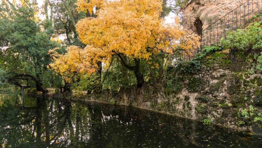 Carmen Martires Granda blog 1