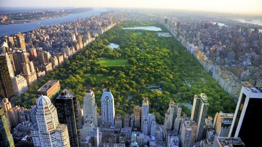 Central_park_NY_blog Central-Park-que-ver-en-nueva-york