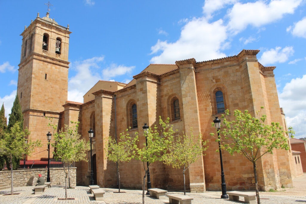 Concatedral de San Pedro 2 1