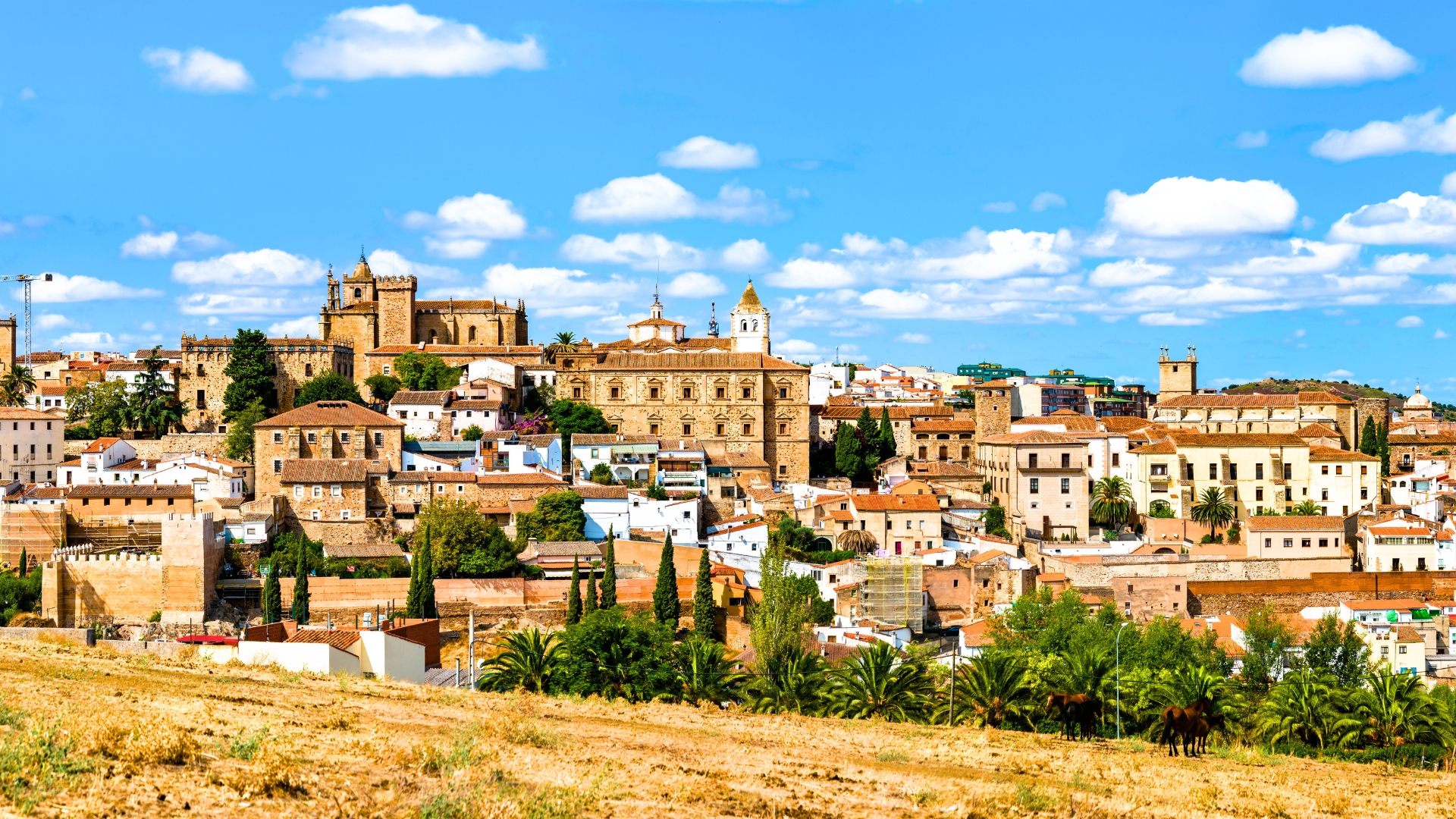 visita guiada en Cáceres