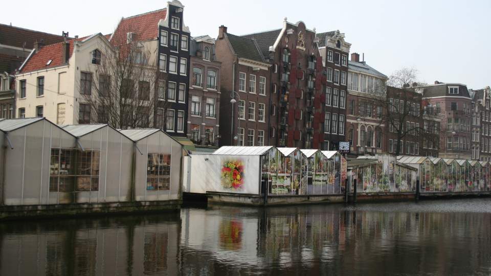 Things to do in Amsterdam. The Venice of the North. 7 Flower Market