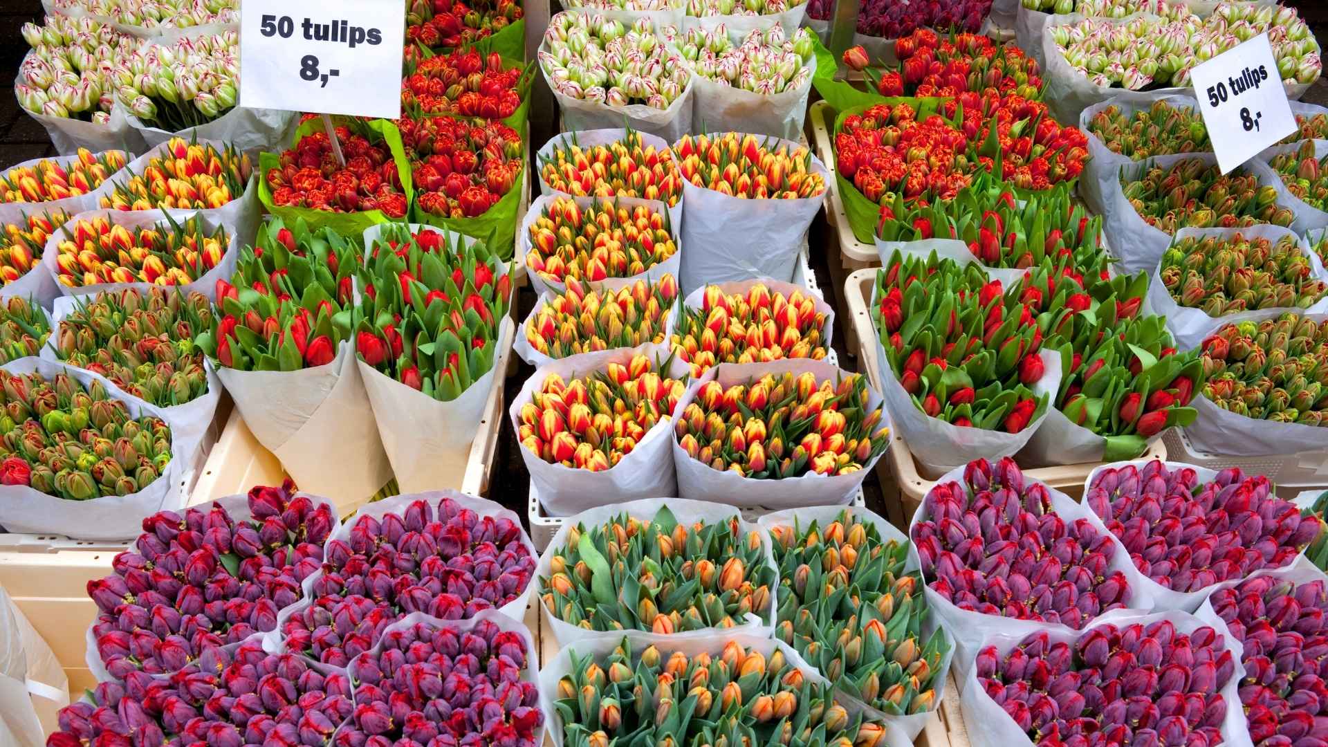 Flower Market Amaterdam blog 1