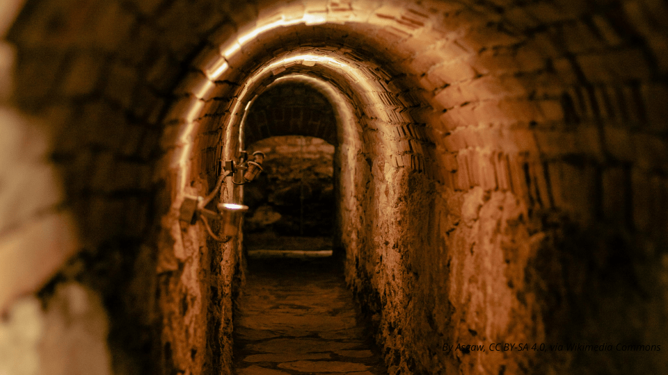 IMAGENES VISITA TURIN 1