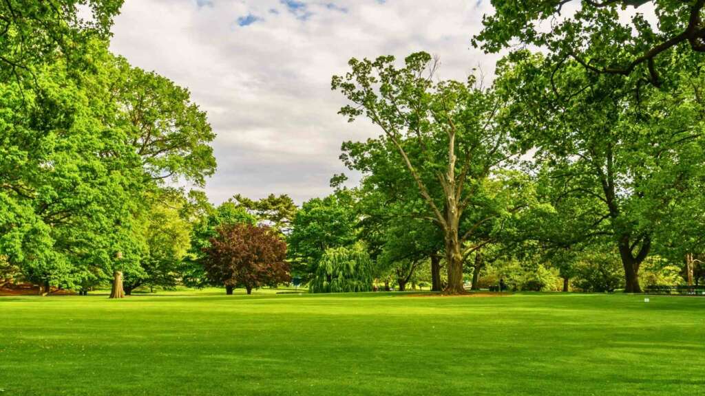 Qué ver en Nueva York: 15 imprescindibles y más rincones 22 Jardin botanico Nueva York blog