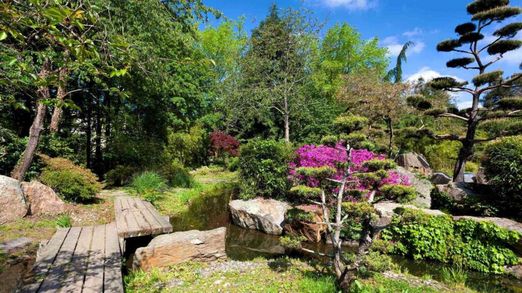Jardin japones Nantes blog