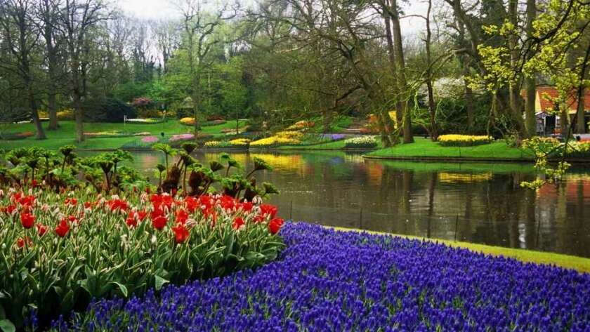Keukenhof Amsterdam blog