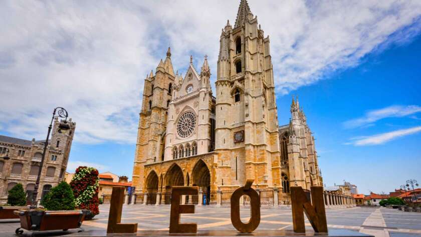LEON 01