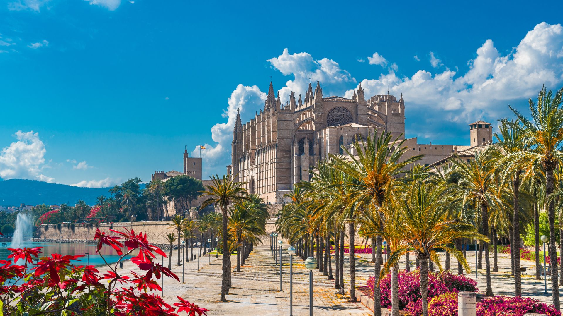 Portada PALMA DE MALLORCA visita guiada en palma de mallorca