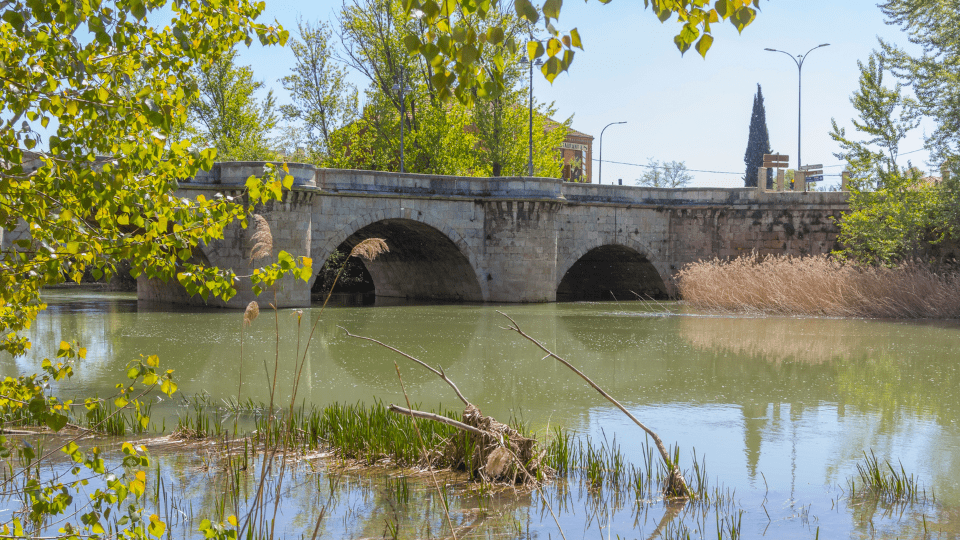 Qué ver en Palencia en 1 día: lugares clave 10 Puente Mayor y Puente de Puentecillas
