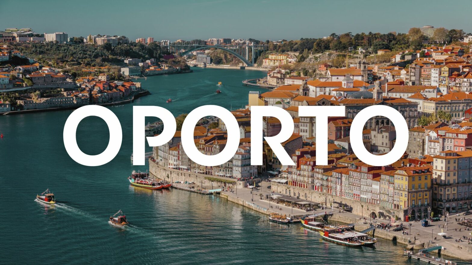 Qué ver en Oporto - DareMapp