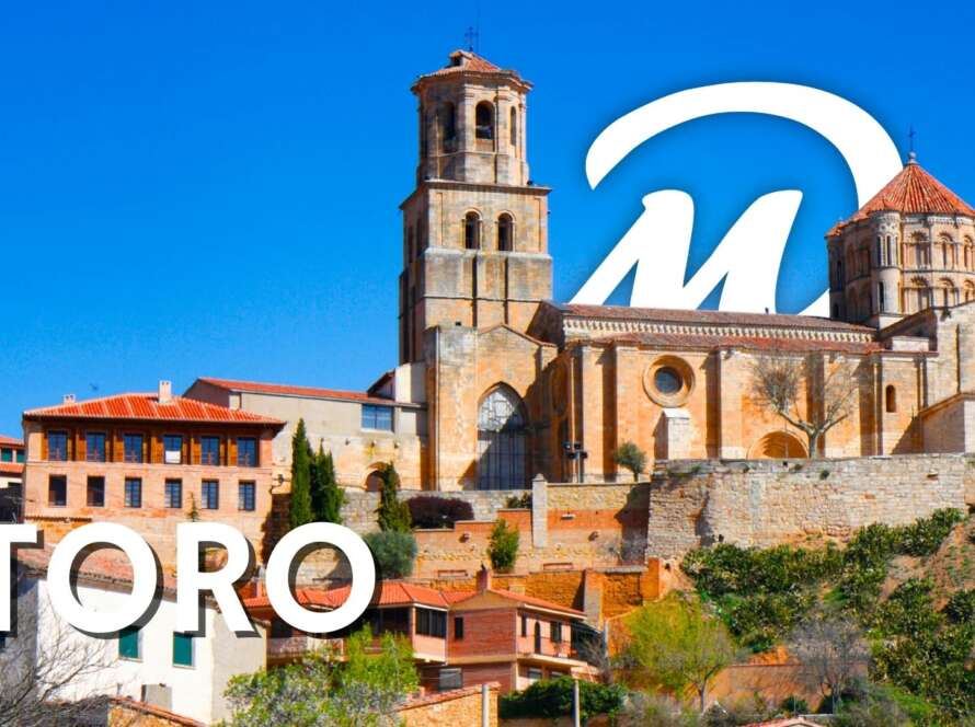 TORO EN