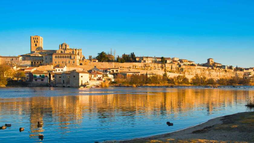 ZAMORA 01