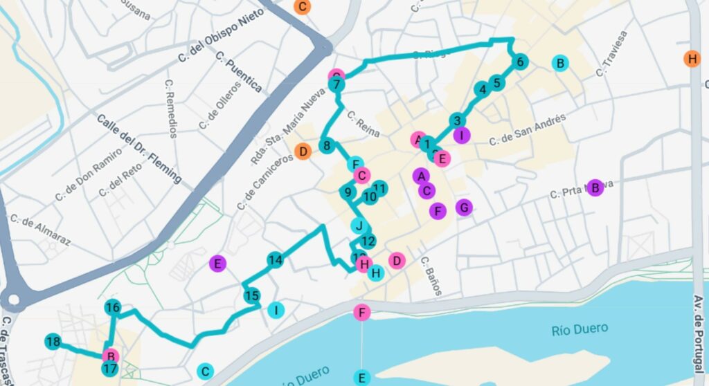 Visita guiada en Zamora 5 Zamora 4
