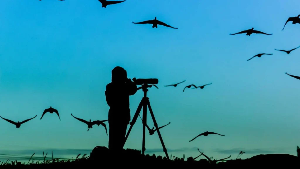 birdwatching home2 1024x576 1