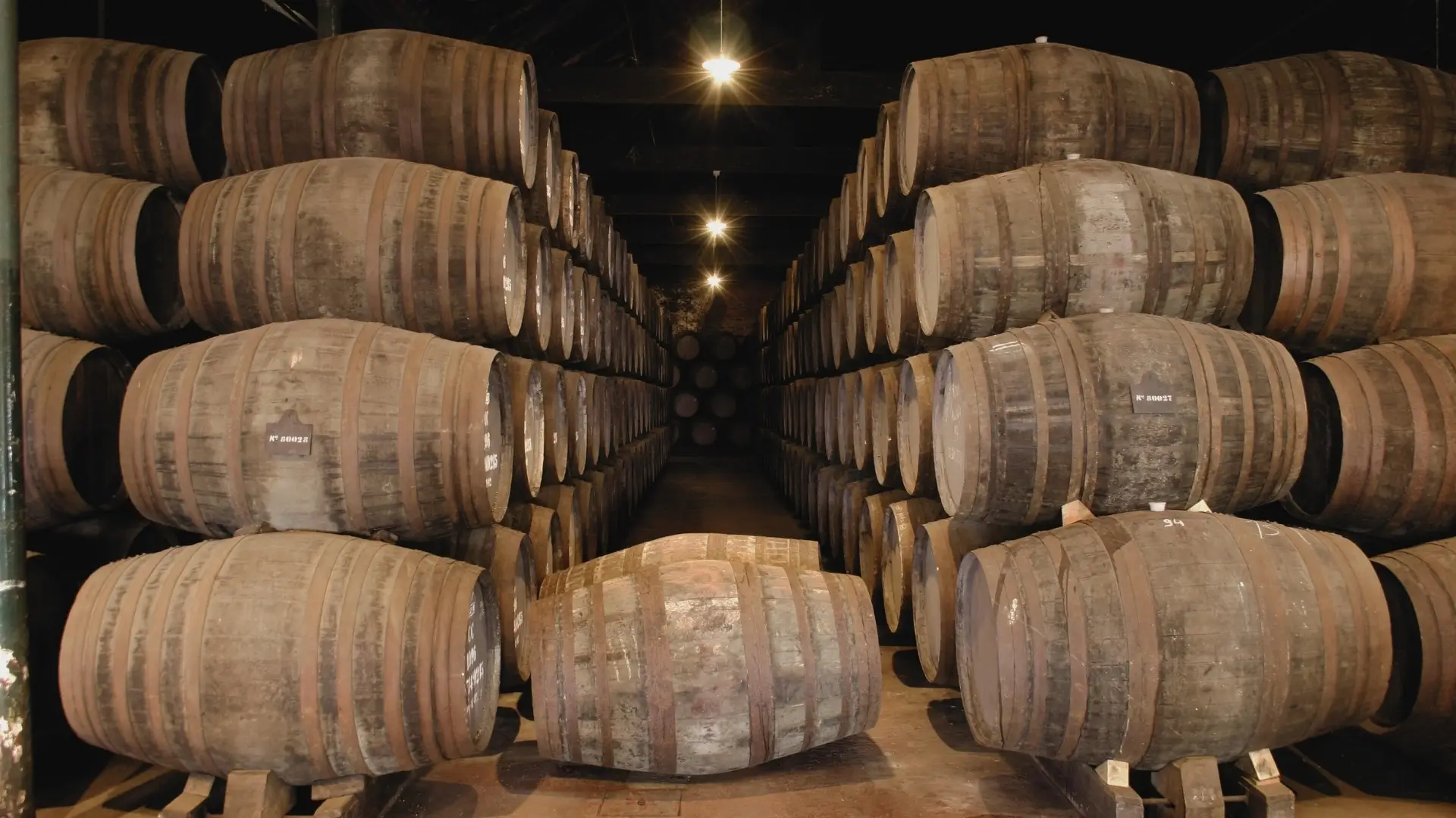Qué ver en Oporto: 10 planes clave entre vino y miradores 11 bodegas oporto