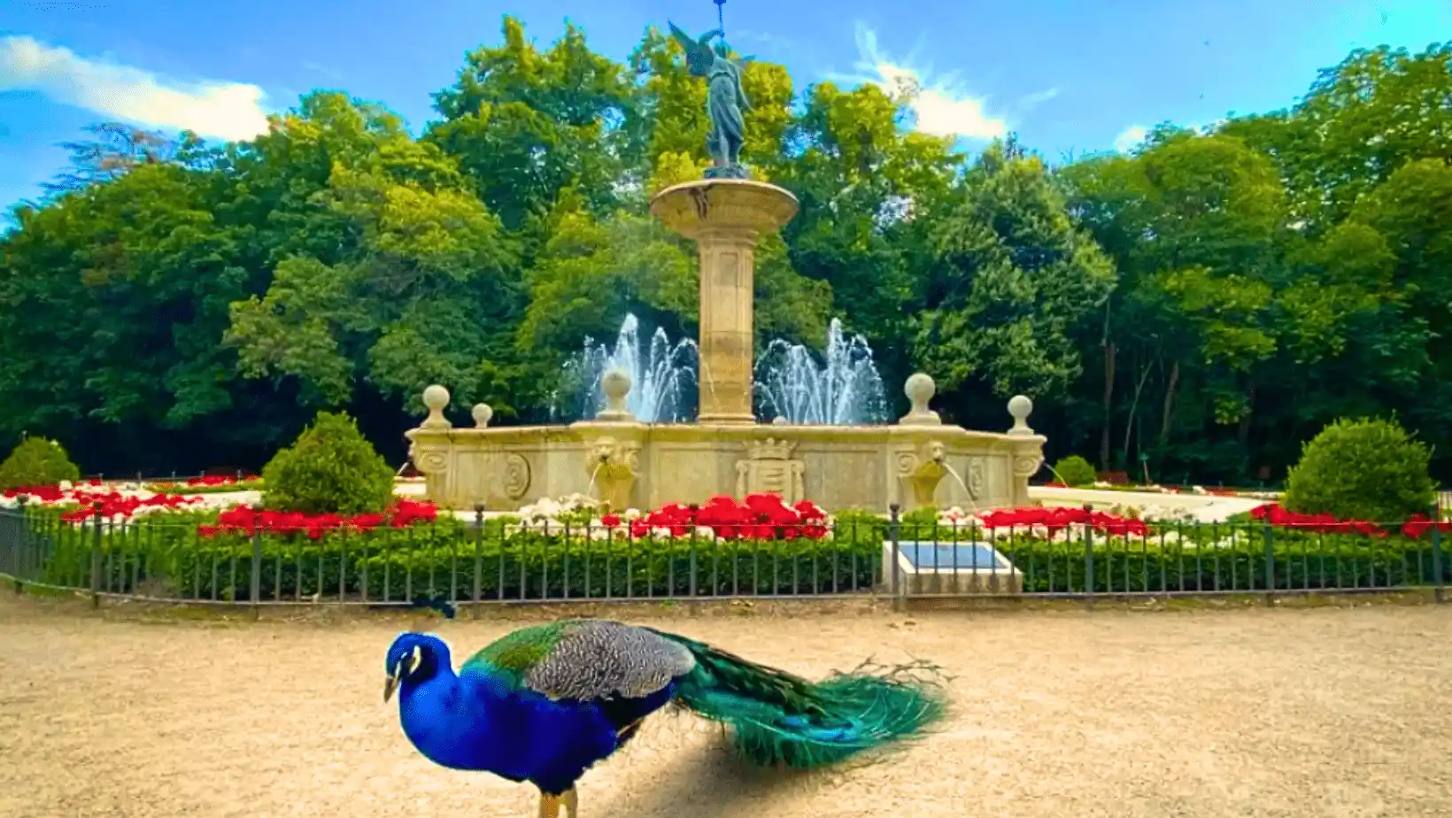 Qué ver en Valladolid: 10 imprescindibles para tu visita 6 campo grande valladolid blog