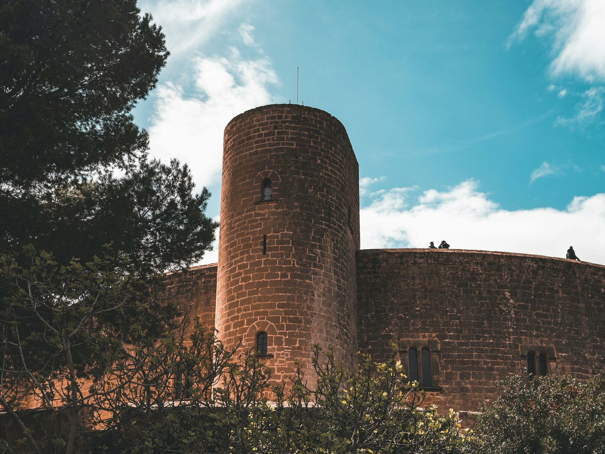 Que ver en Palma de Mallorca