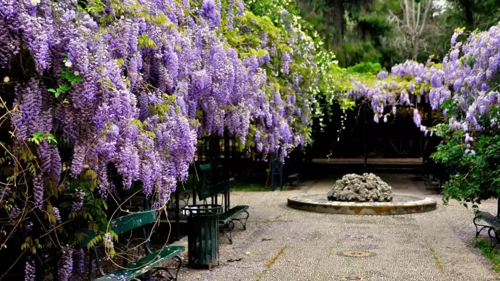 Que ver en Atenas: 20 joyas esenciales de la cuna griega 18 jardin nacional blog atenas