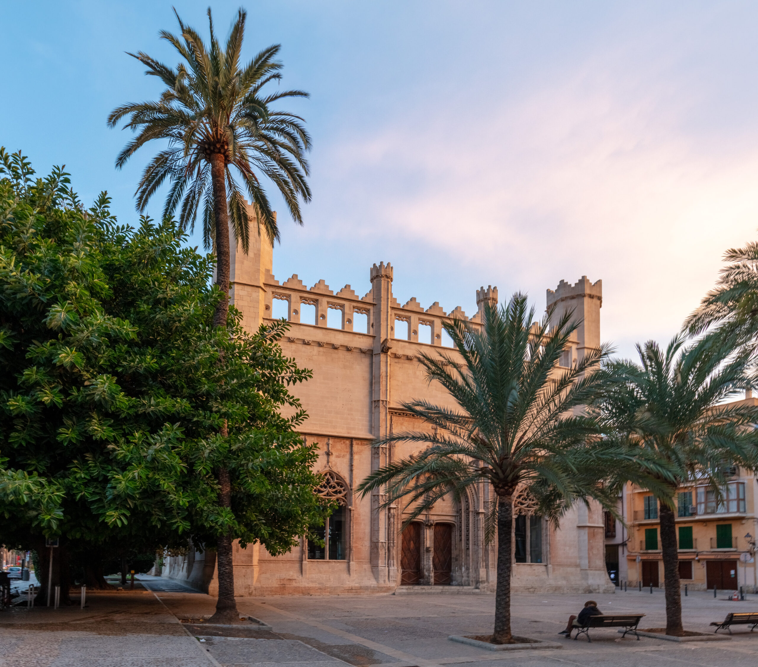 Que ver en Palma de Mallorca