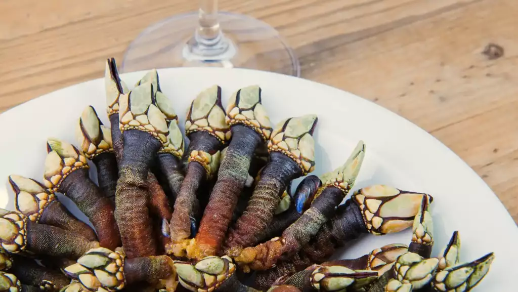 percebes_coruña
