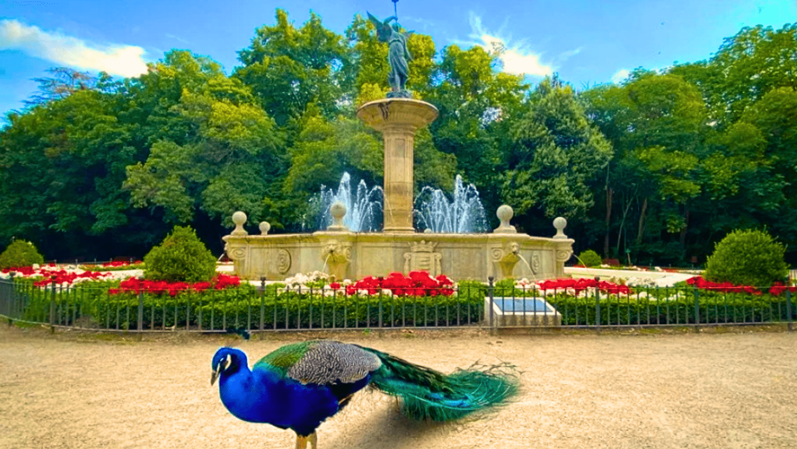 Qué ver en Valladolid: 10 imprescindibles para tu visita 7 parque campo grande valladolid