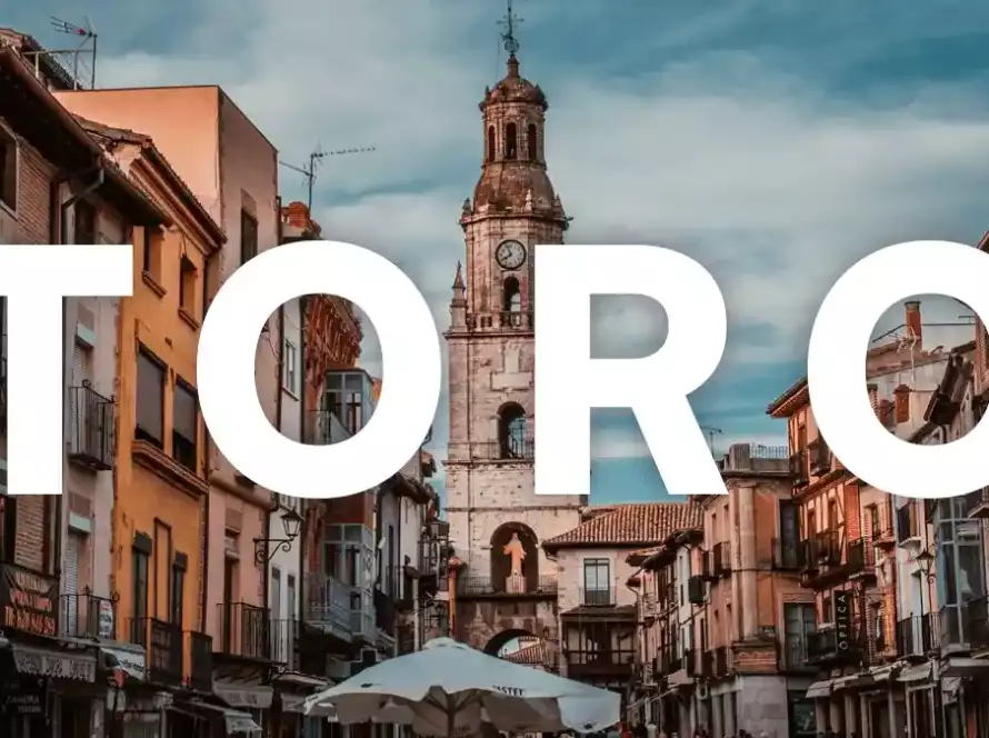 portada blog toro