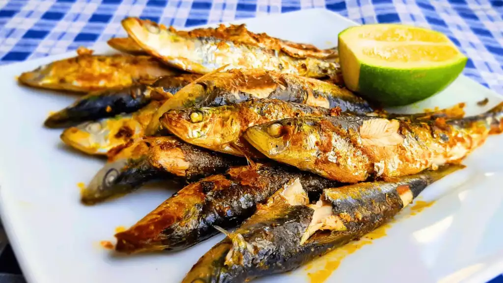 sardinas asadas_oporto sardinas asadas oporto